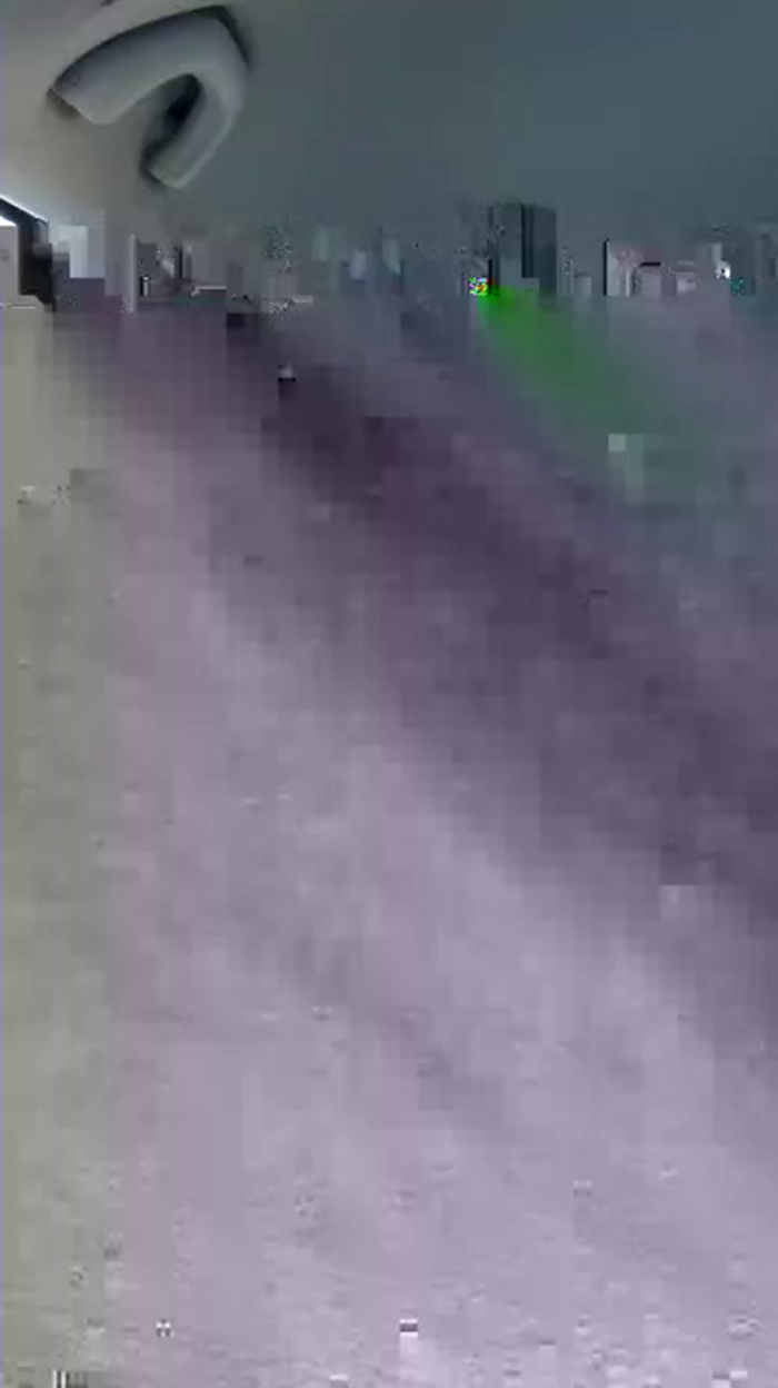 Danielalapiedra