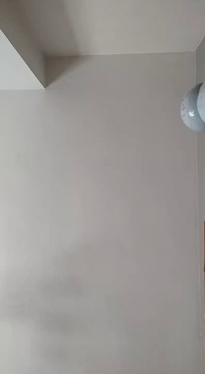 Todaa100