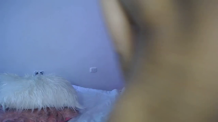 Paulettstar