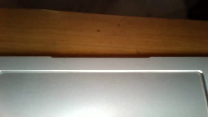 Lady_pussy
