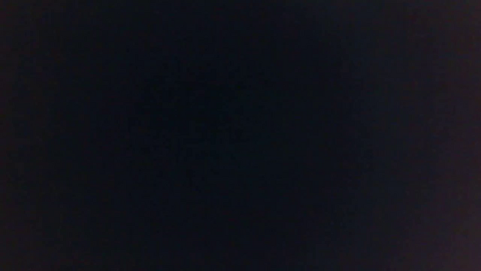 davidrico929