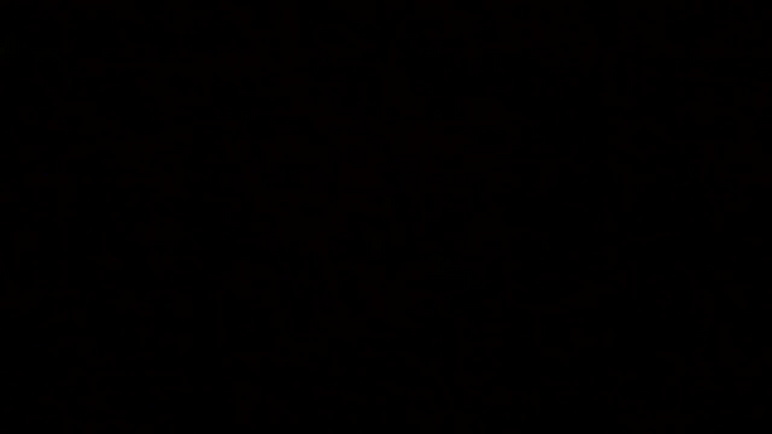 Javivi1223