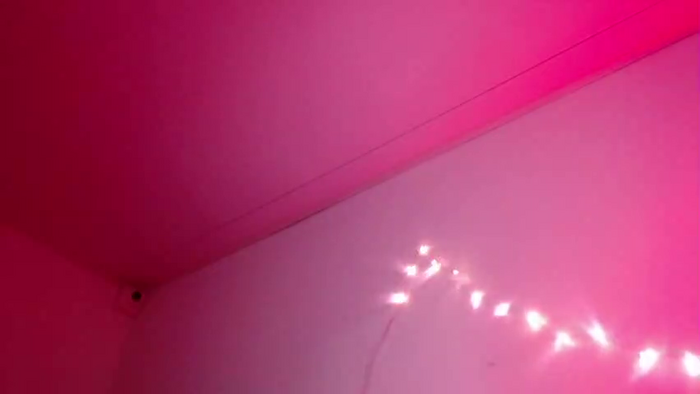 Renata_Ortiz
