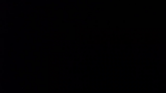 panda_