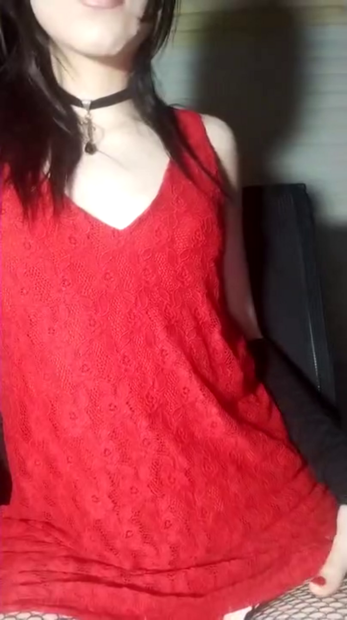 panda_