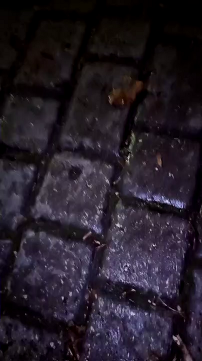 Pornite69