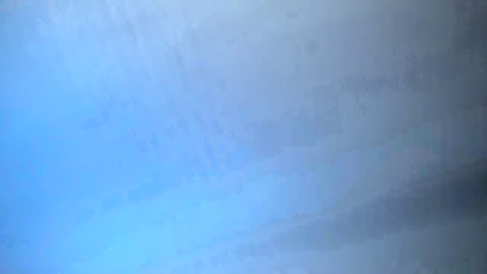 patrymalaga