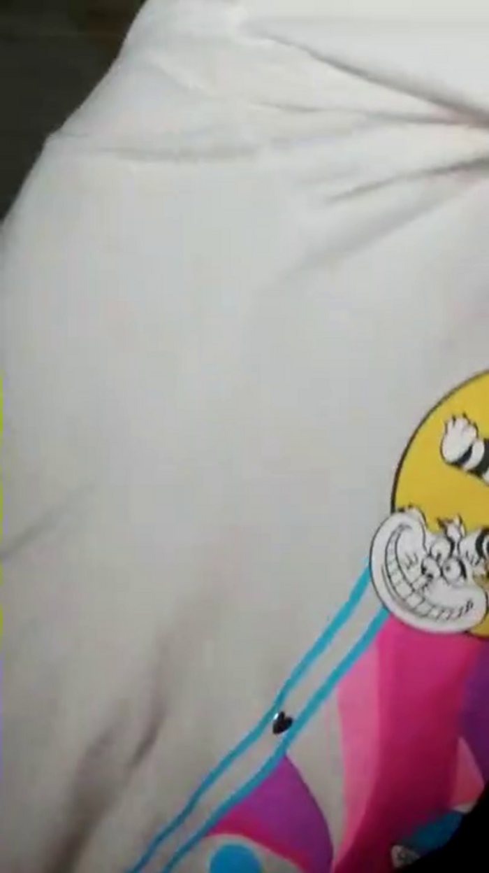 panda_