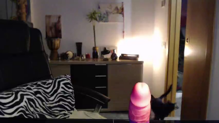 Dynna_