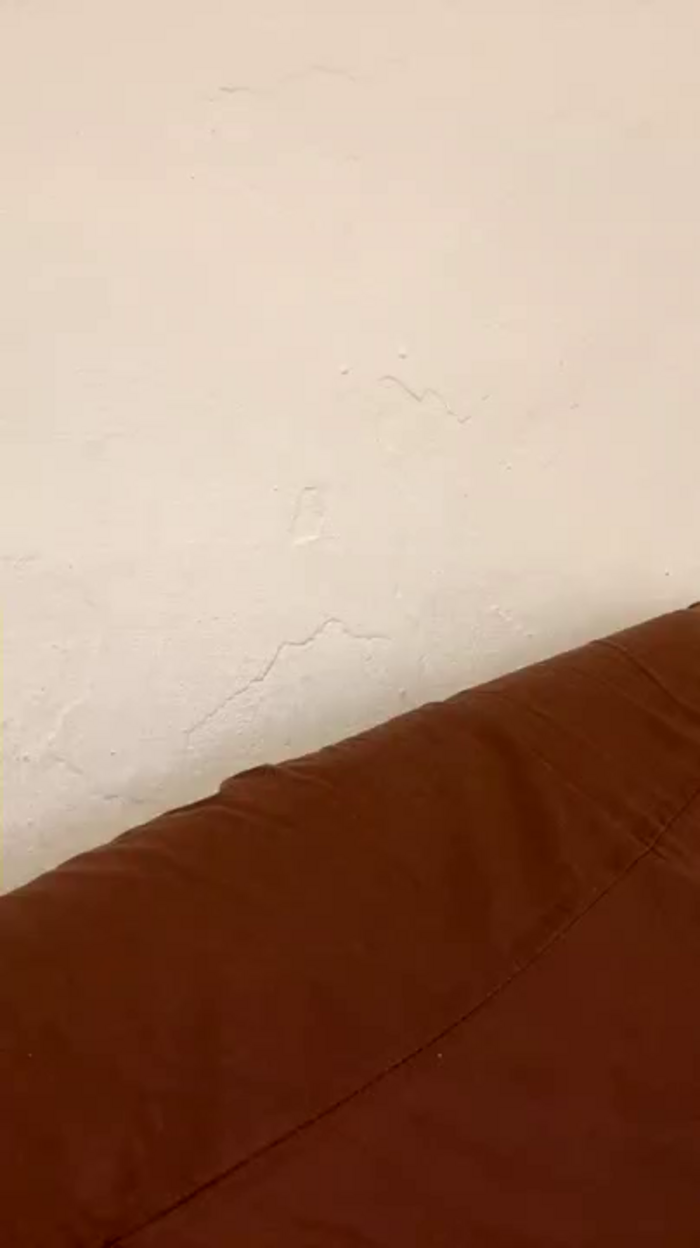 LolaAfrodita