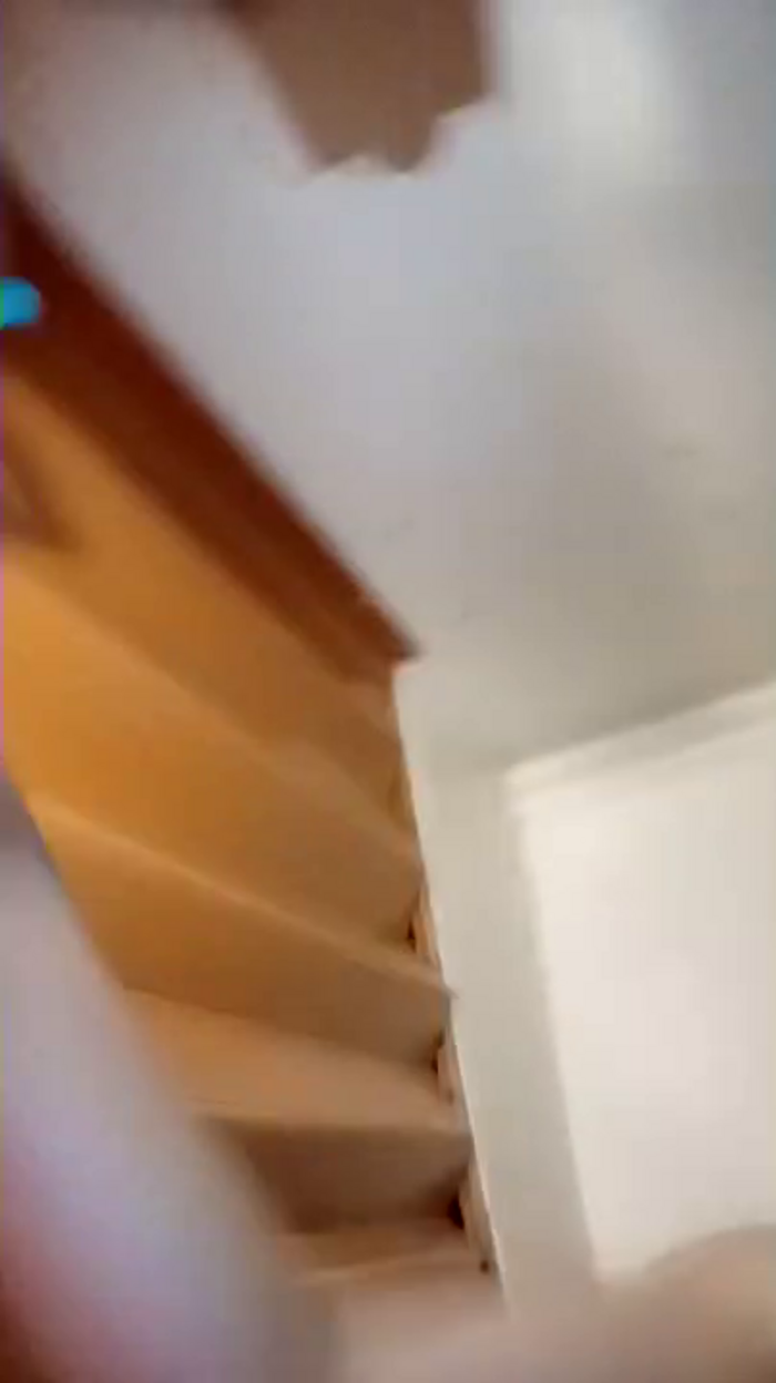 PanteraRosa_1