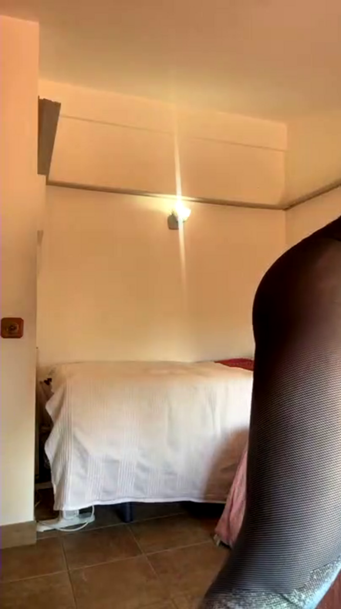 Honeyholyx