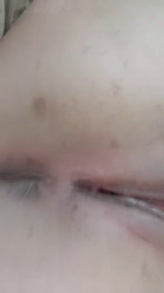 dalilafetch