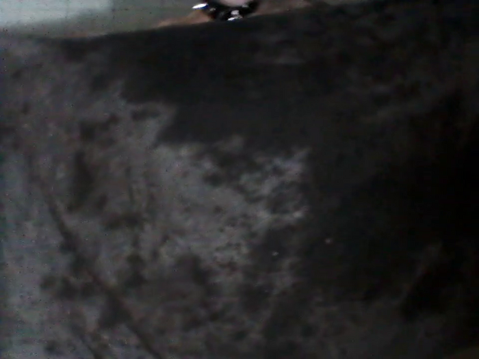 blackvampir