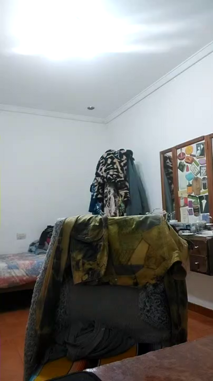 dalilafetch