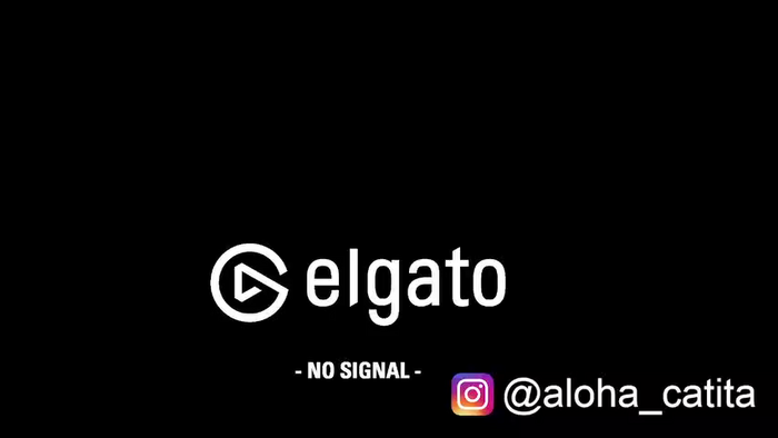 Aloha_Catita