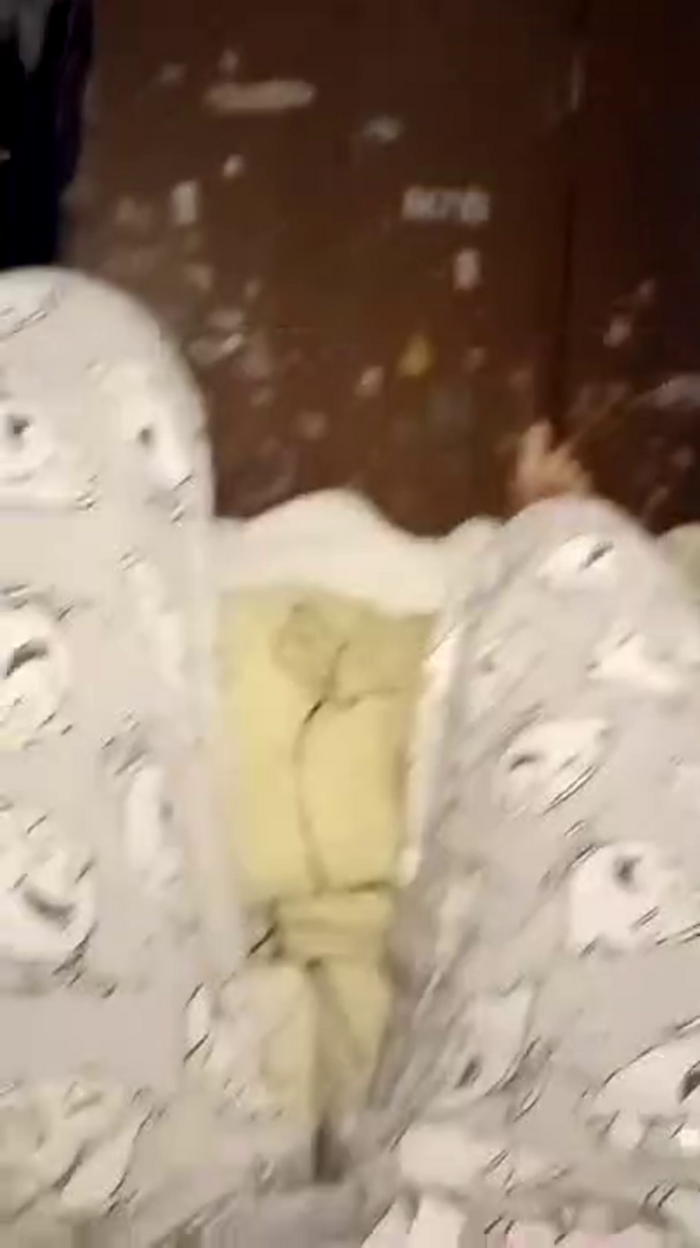 Nenarebelde69