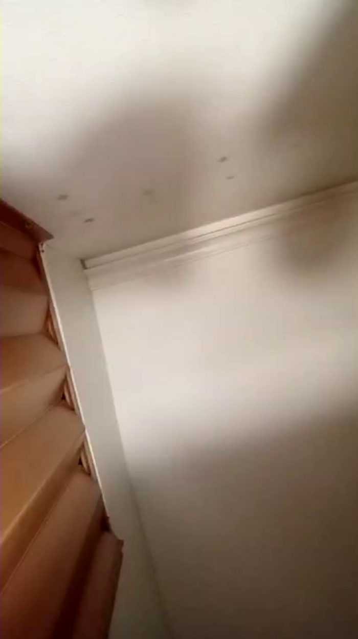 PanteraRosa_1
