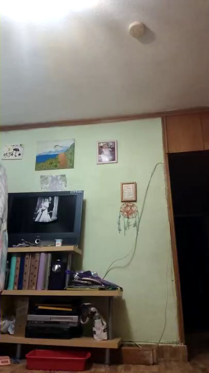 Zarcera69