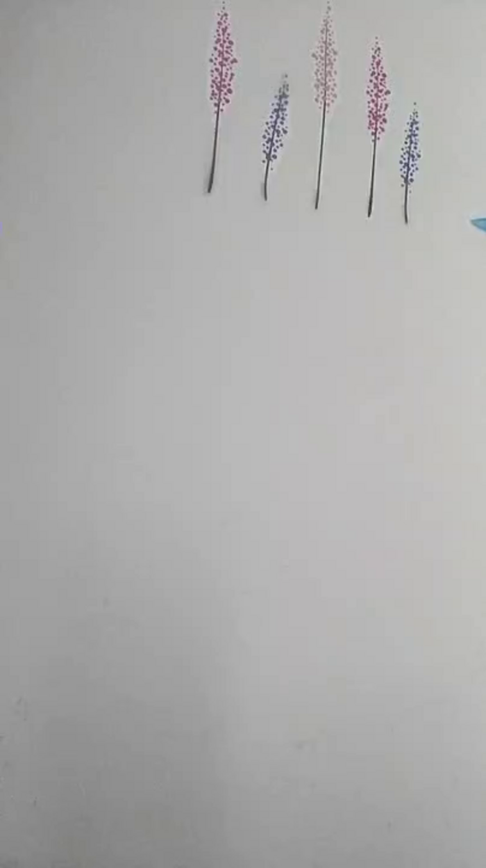 Zarcera69