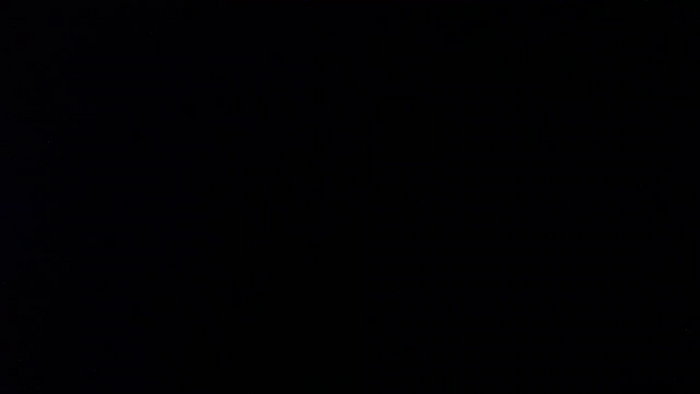 panda_