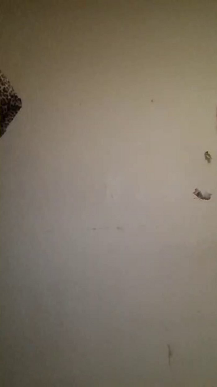 Zarcera69
