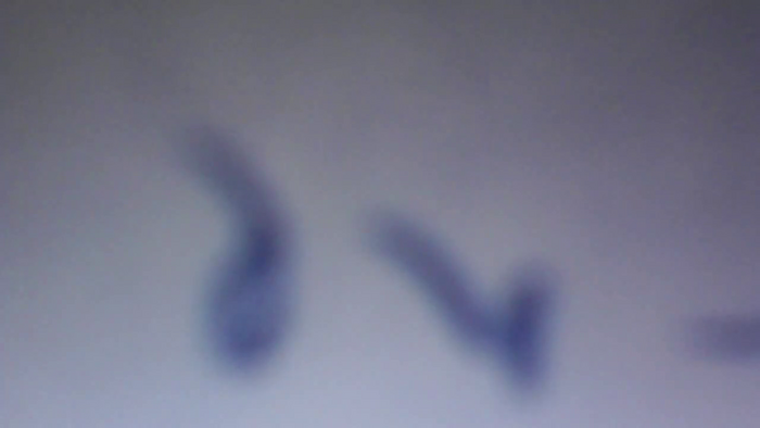 Silviaa32