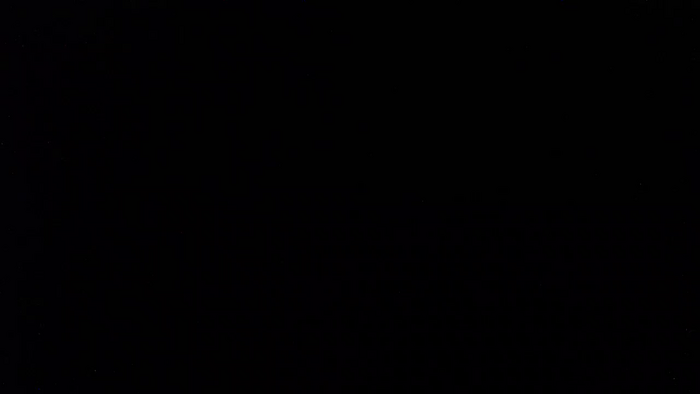 panda_