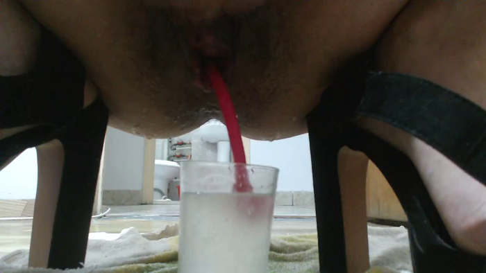xostefanny