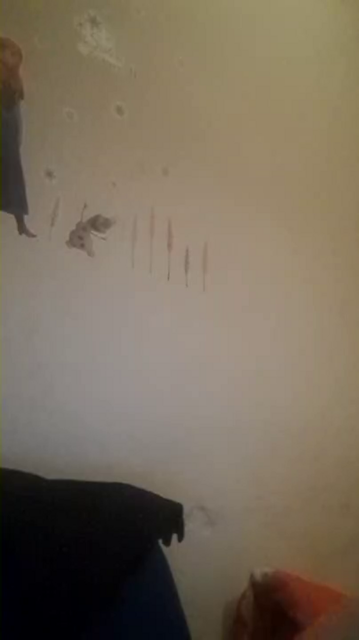 Zarcera69