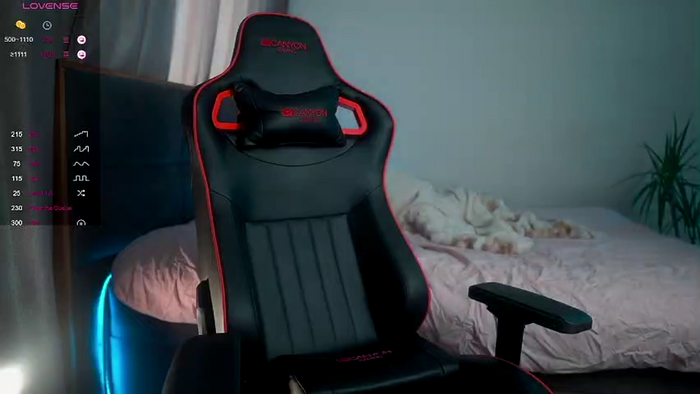 vikidream1