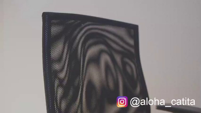 Aloha_Catita