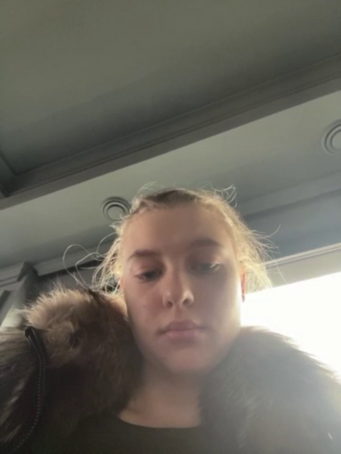 jucieLussie