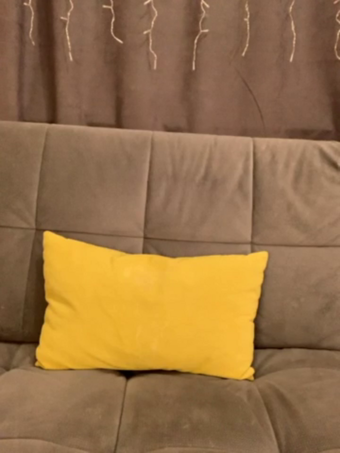 mispopi
