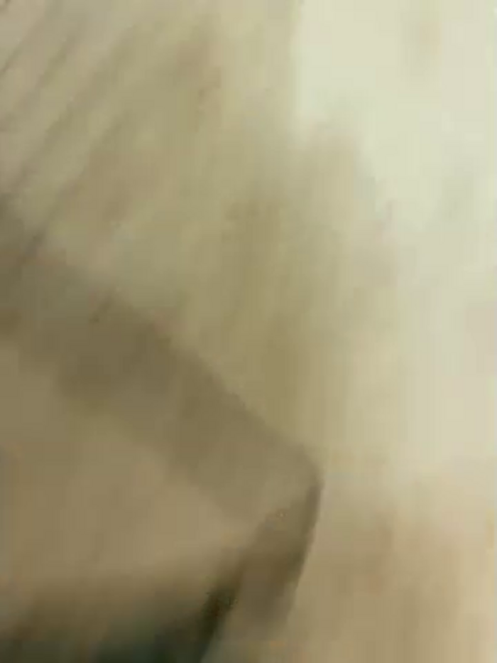 -Breid-1