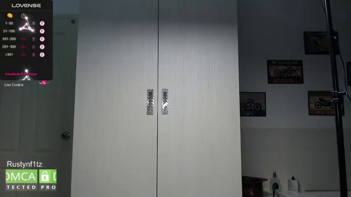 Rustynf1tZ