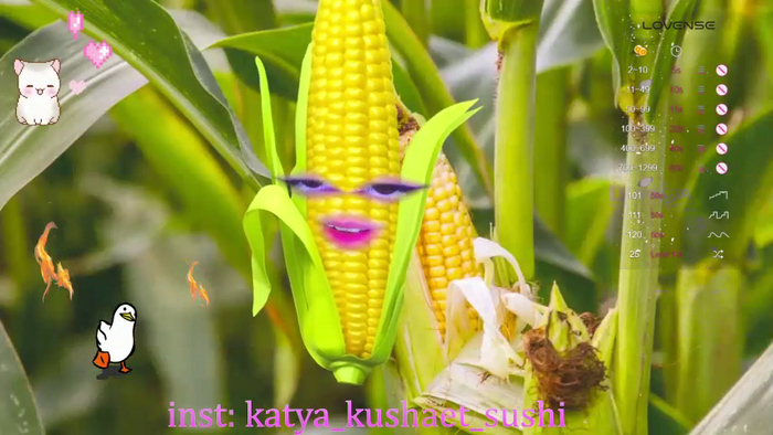 Milkaff-