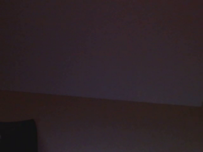 Calistud94