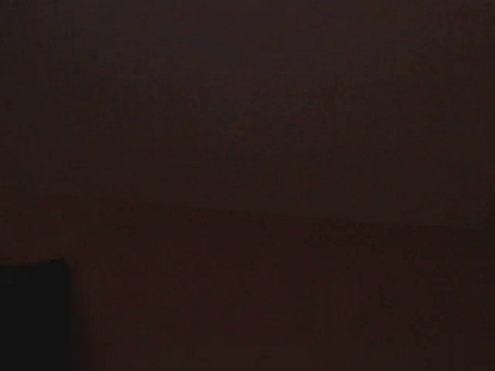 Calistud94
