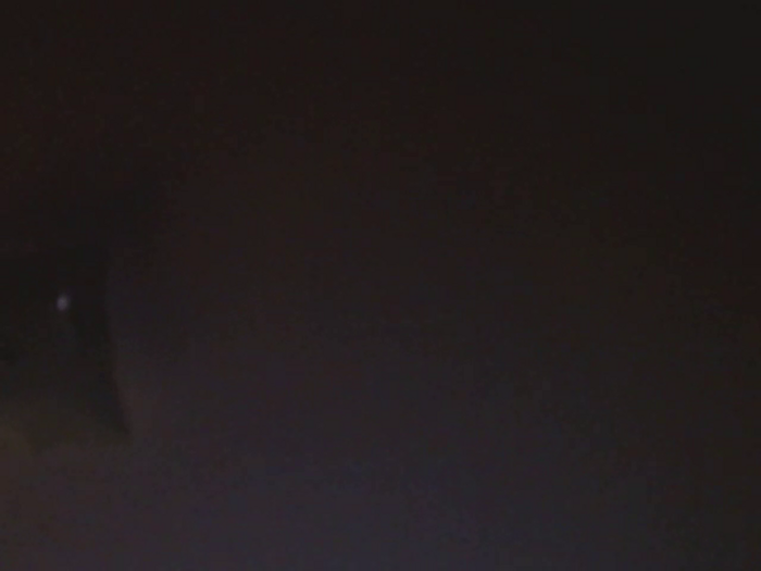 Calistud94
