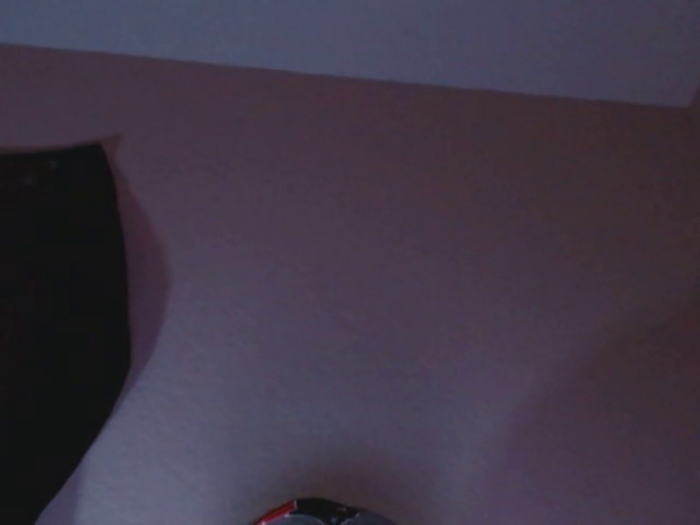 Calistud94