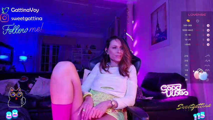 SweetGattina1