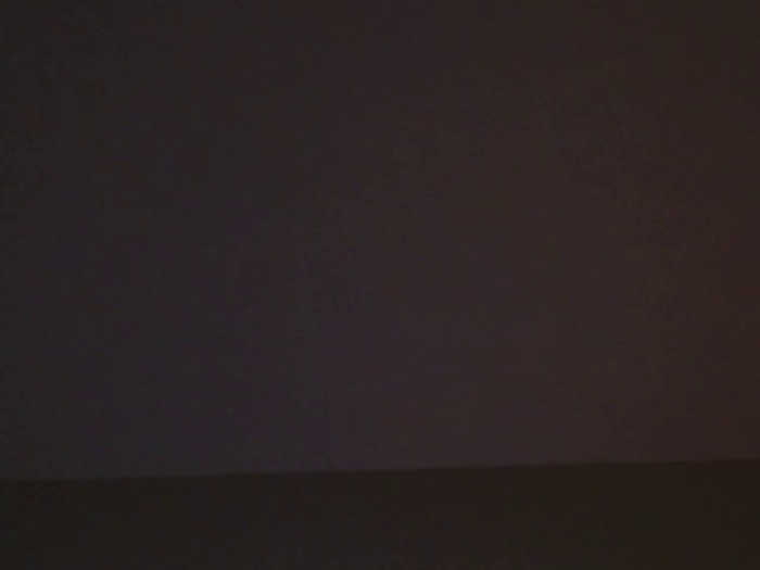 Calistud94