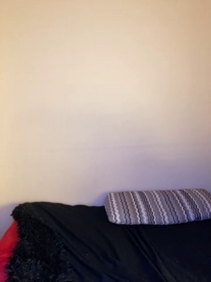 LekfullKitten
