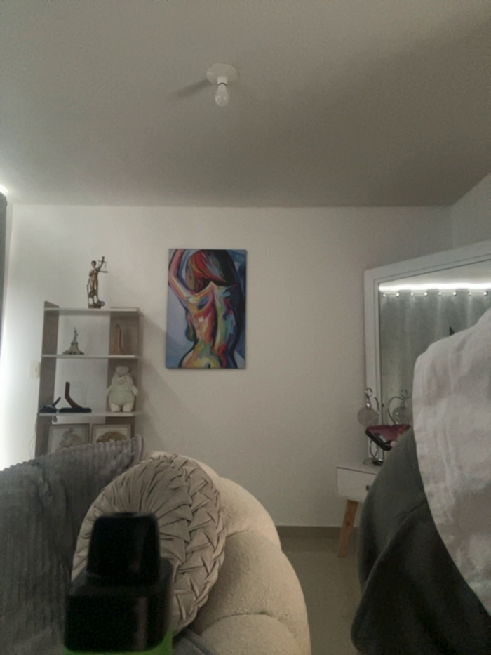 TinyRouse