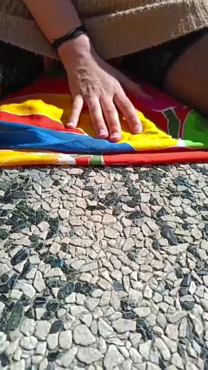 Vitalex8