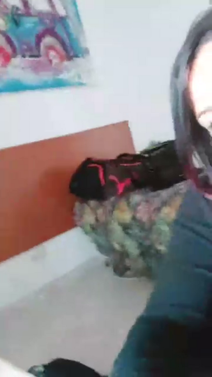 Allyson22andy