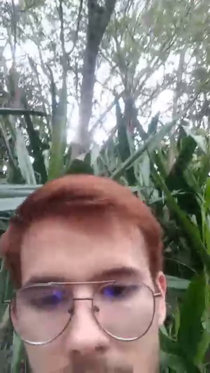 kaloschaos777