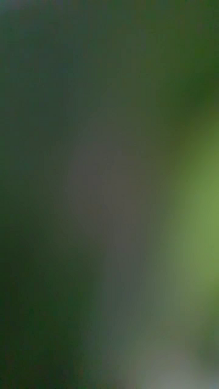 Sexe_with_anna