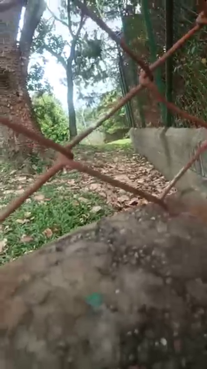 kaloschaos777